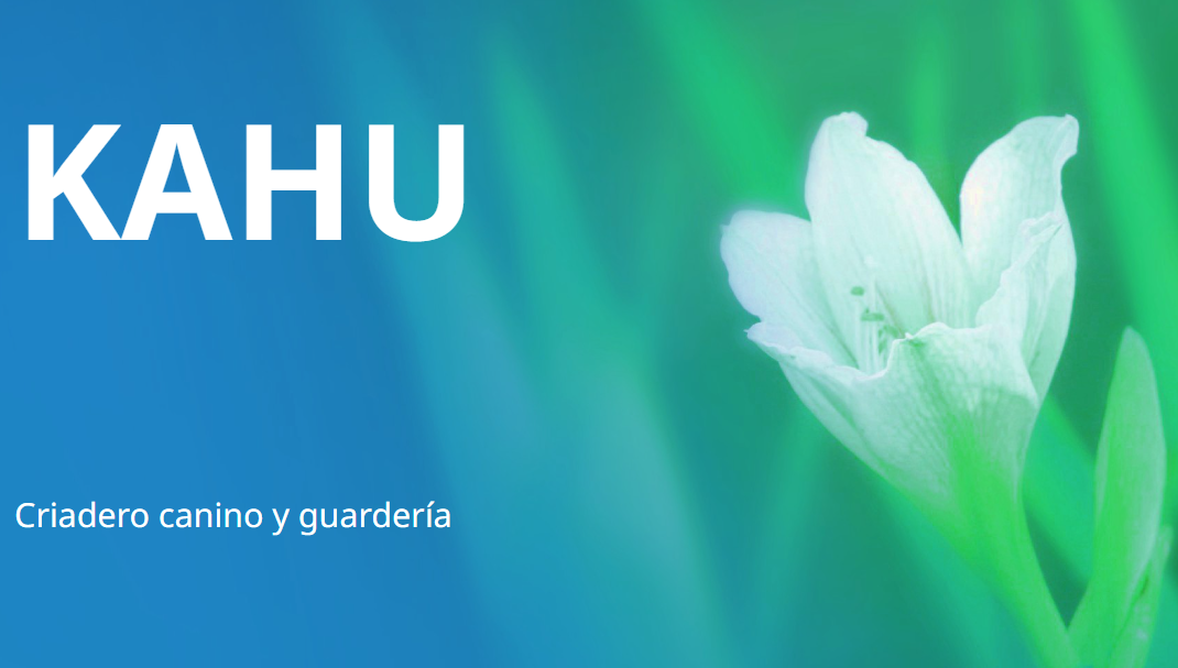 Kahu